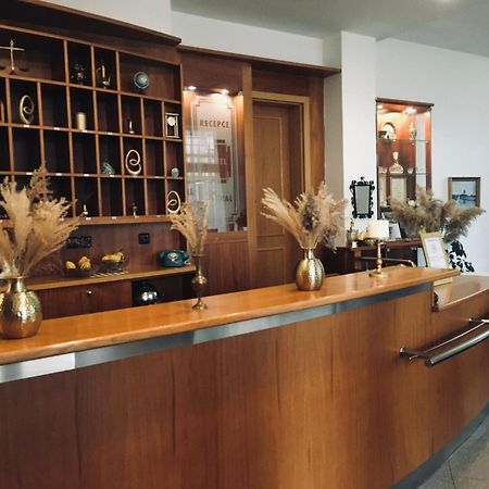 Penzion Hotelu Central Двур-Кралове-над-Лабем Екстер'єр фото