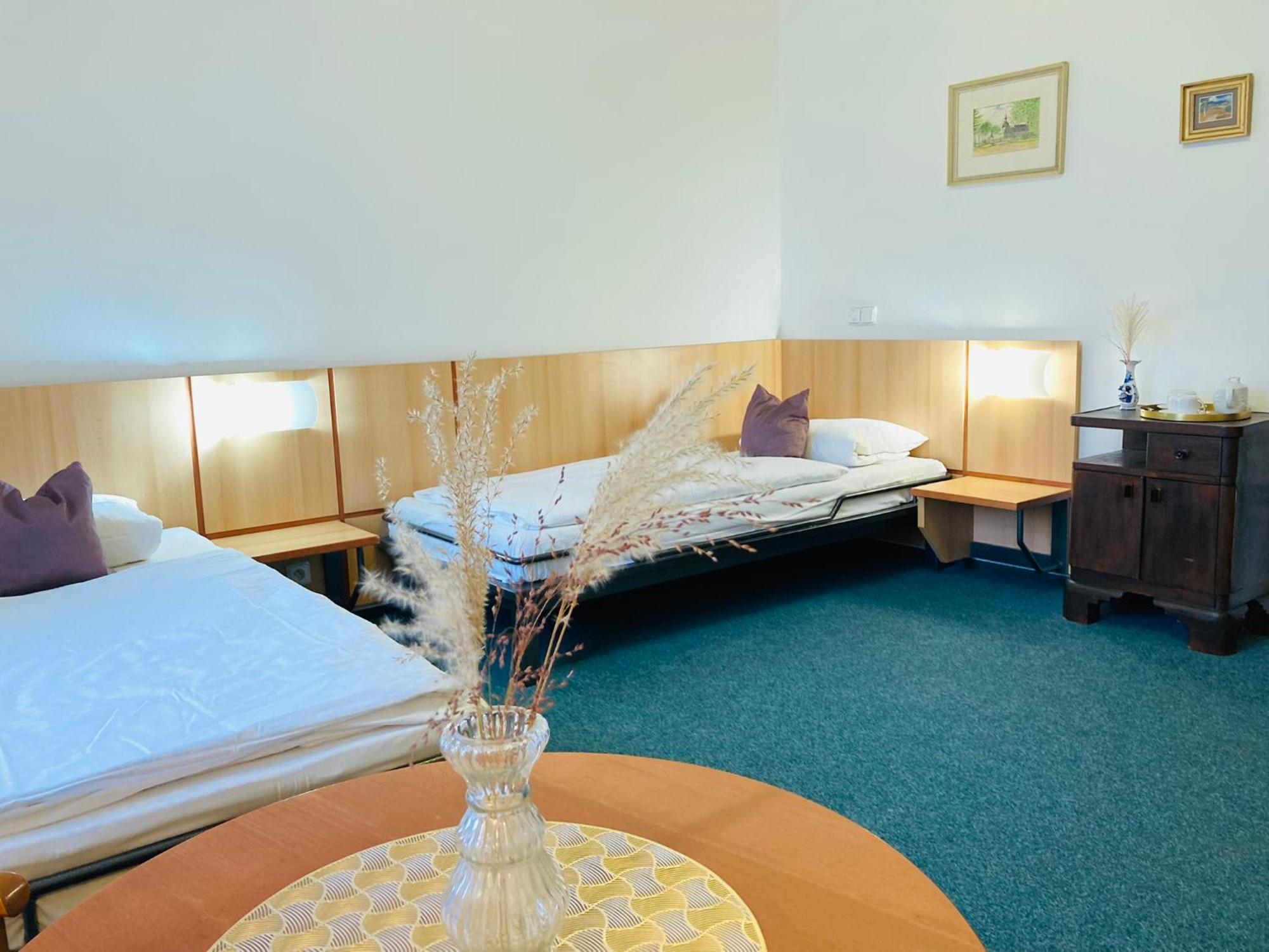 Penzion Hotelu Central Двур-Кралове-над-Лабем Екстер'єр фото
