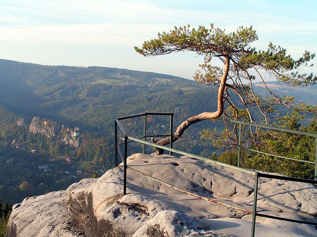 Penzion Hotelu Central Двур-Кралове-над-Лабем Екстер'єр фото